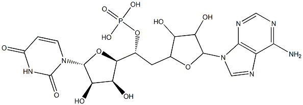 adenylyl-(3'-5')-uridine 5'-phosphate 化学構造式