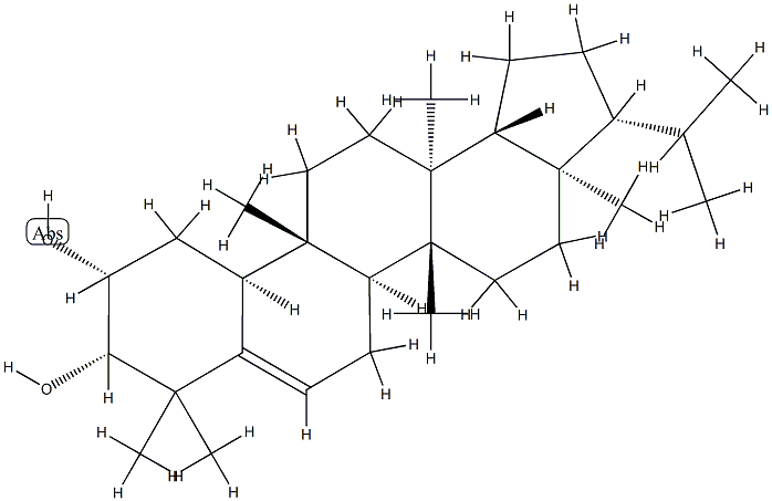 D:B-Friedo-B':A'-neogammacer-5-ene-2β,3β-diol|