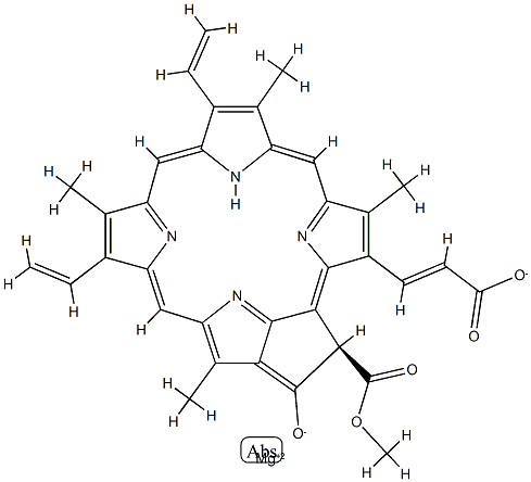 27736-03-4 叶绿素 C2