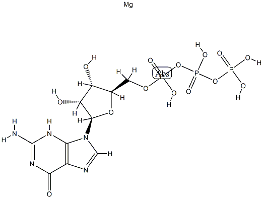 magnesium GTP 化学構造式
