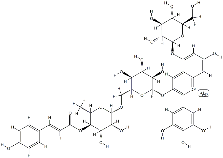 nasunin Structure