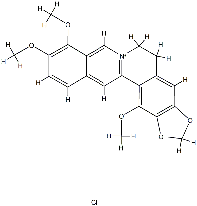 1-メトキシベルベリン 化学構造式