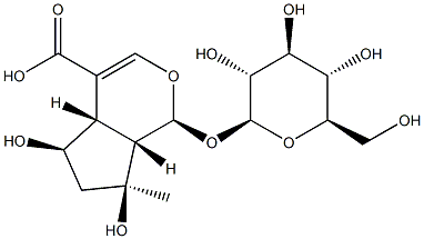 1α-(β-D-グルコピラノシルオキシ)-1,4aα,5,6,7,7aα-ヘキサヒドロ-5α,7α-ジヒドロキシ-7-メチルシクロペンタ[c]ピラン-4-カルボン酸 化学構造式