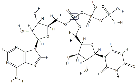 adenosine 5'-P(1)-triphosphate-P(3)-5'''-uridine Struktur
