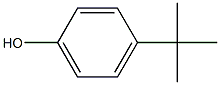 4-(1,1-DIMETHYLETHYL)-PHENOL,HOMOPOLYMER Structure