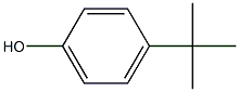 4-(1,1-DIMETHYLETHYL)-PHENOL,HOMOPOLYMER|