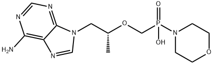 [2-(6-AMino-9H-purin-9-yl)-1-Methylethoxy]Methyl]-4-Morpholinylphosphinic Acid,308367-90-0,结构式