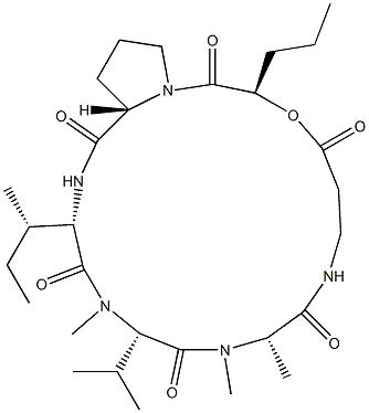 N-[N-[(2R)-1-Oxo-2-hydroxypentyl]-L-Pro-L-Ile-N-methyl-L-Val-N-methyl-L-Ala-]-β-alanine lactone Struktur