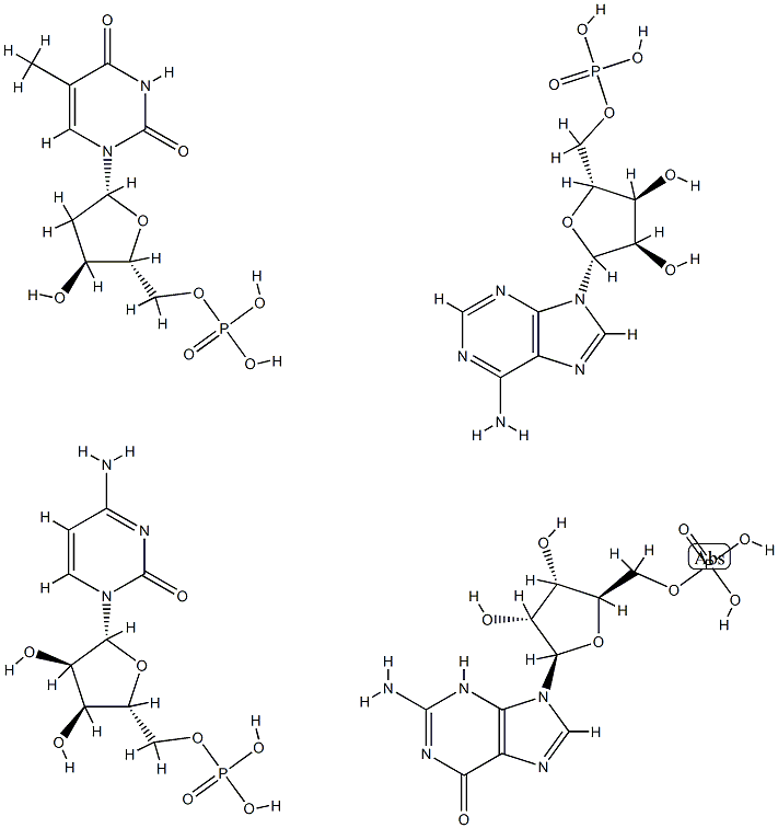 poly(d(A,C,G,T)) Structure