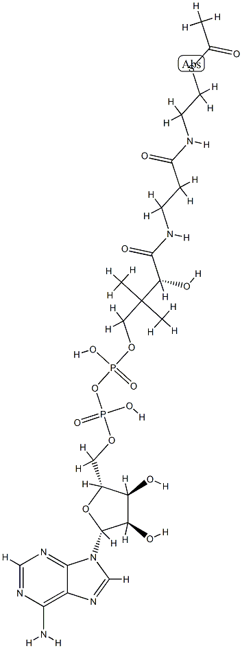 acetyl-dephospho-CoA Structure