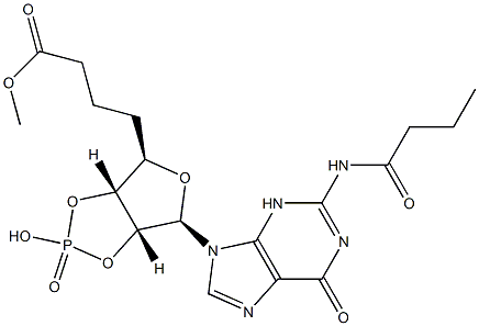 Dibutyryl Cyclic GMP Structure