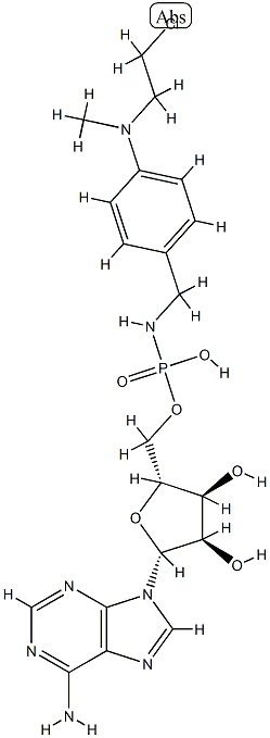 Amp-4-(N-2-chloroethyl-N-methylamino)benzylamidate|