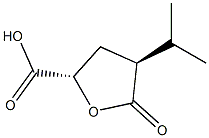 D-erythro-Pentaric acid, 2,3-dideoxy-2-(1-methylethyl)-, 1,4-lactone (9CI) Struktur