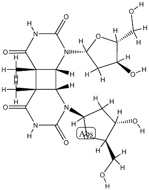 cyclobutyldithymidine dimers Struktur