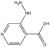 4-Pyridinecarboxylicacid,3-hydrazino-(9CI) Struktur
