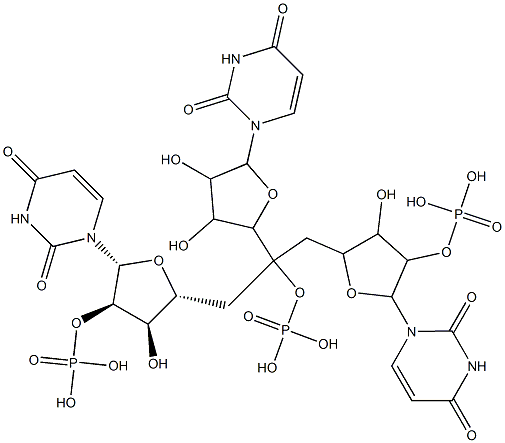 uridylyl-(3'-5')-uridylyl-(3'-5')-3'-uridylic acid Struktur