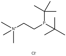 360577-23-7 2-[双(叔丁基)膦]-N,N,N-三甲基乙基氯化铵