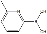 6-METHYLPYRIDINE-2-BORONIC ACID Structure