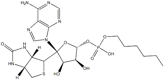 1,3-Benzenedicarboxylic acid, polymer with (E)-2-butenedioic acid, 2,2-dimethyl-1,3-propanediol and 1,2-propanediol Structure