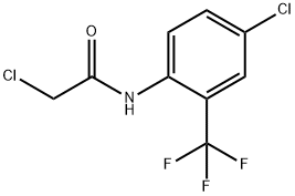 2-Chloro-N-(4-chloro-2-trifluoromethyl-phenyl)-acetamide Structure