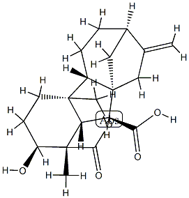 1α,4aα-(カルボニルオキシメチレン)-2β-ヒドロキシ-1β-メチル-8-メチレンギバン-10β-カルボン酸 化学構造式
