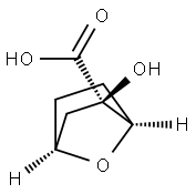 7-Oxabicyclo[2.2.1]heptane-2-carboxylicacid,2-hydroxy-,(1R,2R,4S)-rel-(9CI) Struktur