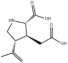 (2S,3S,4R)-2-カルボキシ-4-イソプロペニル-3-ピロリジン酢酸 化学構造式