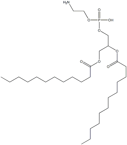 1,2‐ジラウロイル‐SN‐グリセロ‐3‐ホスホリルエタノールアミン 化学構造式
