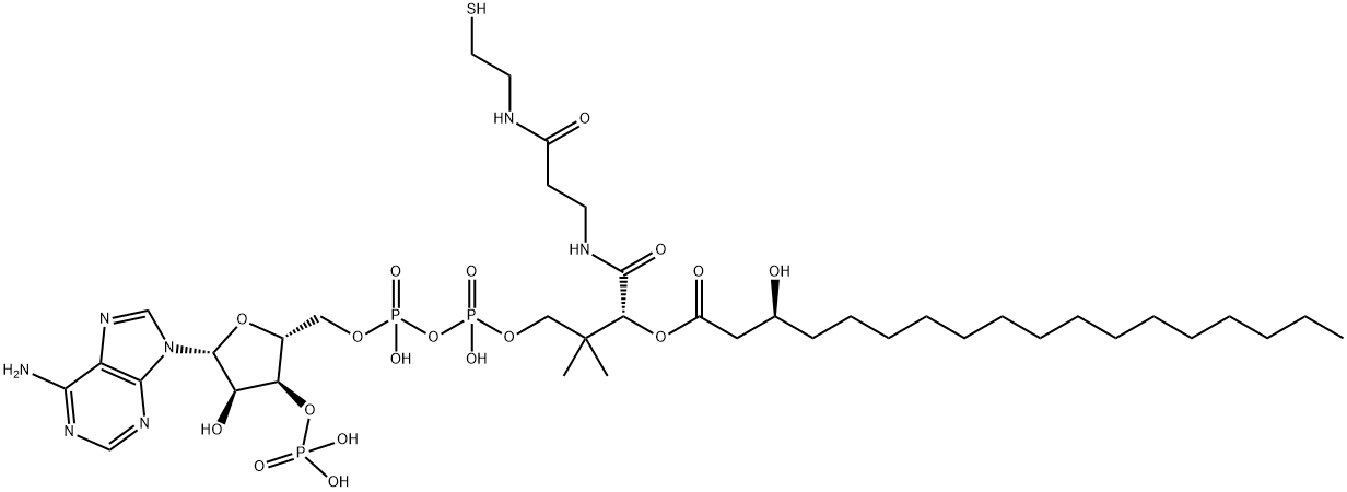 3-hydroxyoctadecanoyl-coenzyme A 结构式