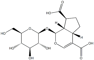 (1S)-1α-(β-D-Glucopyranosyloxy)-1,4aα,5,6,7,7aα-hexahydrocyclopenta[c]pyran-4,7α-dicarboxylic acid 结构式
