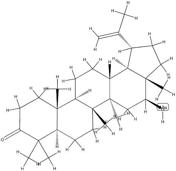 16β-Hydroxylup-20(29)-en-3-one Structure