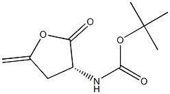 Carbamic acid, [(3R)-tetrahydro-5-methylene-2-oxo-3-furanyl]-, 1,1- Struktur