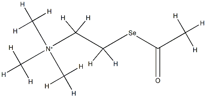 2-acetylselanylethyl-trimethyl-azanium Struktur