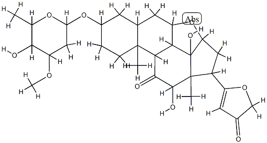 Leptoside Structure