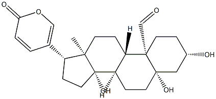 19-オキソ-3β,5,14-トリヒドロキシ-5β-ブファ-20,22-ジエノリド 化学構造式