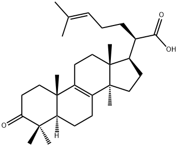3-Oxo-5α-lanosta-8,24-diene-21-oic acid Struktur