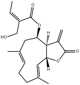EUPAGLEHNIN C