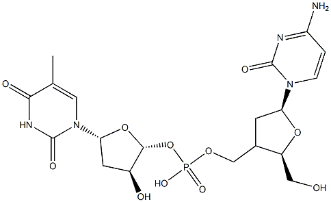 2'-deoxycytidylyl-(3'-5')-thymidine 结构式