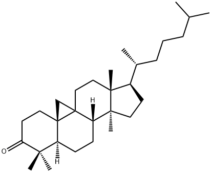 5α-Cycloartan-3-one Struktur