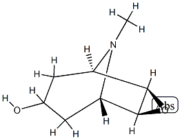 (1α,2β,4β,5α)-9-メチル-3-オキサ-9-アザトリシクロ[3.3.1.02,4]ノナン-7α-オール 化学構造式