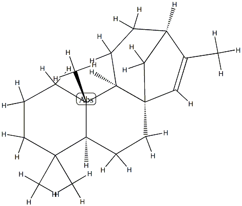Isophyllocladene Struktur