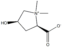 Stachydrine|水苏碱