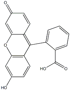 황색202호의(1)