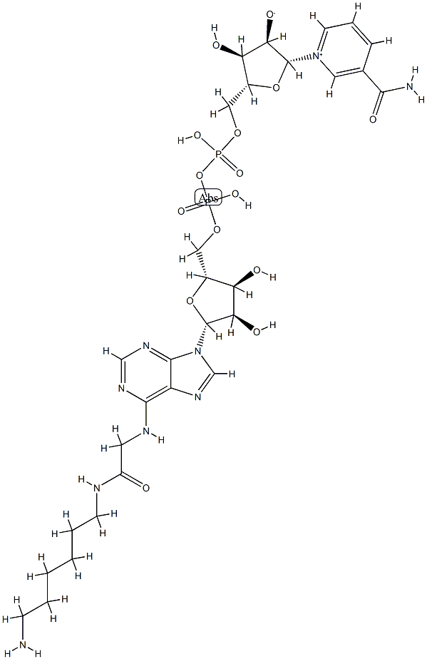 N-6-(N-(6-aminohexyl)carbamoylmethyl)-NAD Struktur