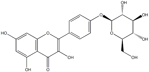 山奈酚-4