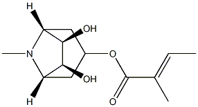 METELOIDINE Struktur