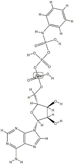 ATP gamma-anilide,52830-41-8,结构式