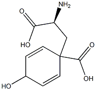 pretyrosine Structure