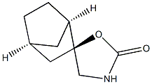 Spiro[bicyclo[2.2.1]heptane-2,5-oxazolidin]-2-one, (1alpha,2beta,4alpha)- (9CI) Struktur