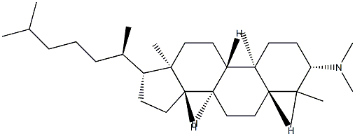 N,N,4,4-Tetramethyl-5α-cholestan-3β-amine Structure